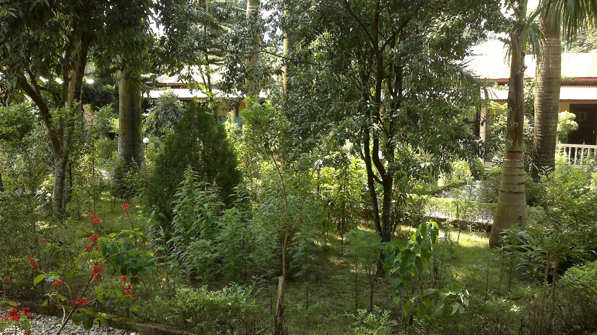 Готель Ama Garden Саураха Екстер'єр фото