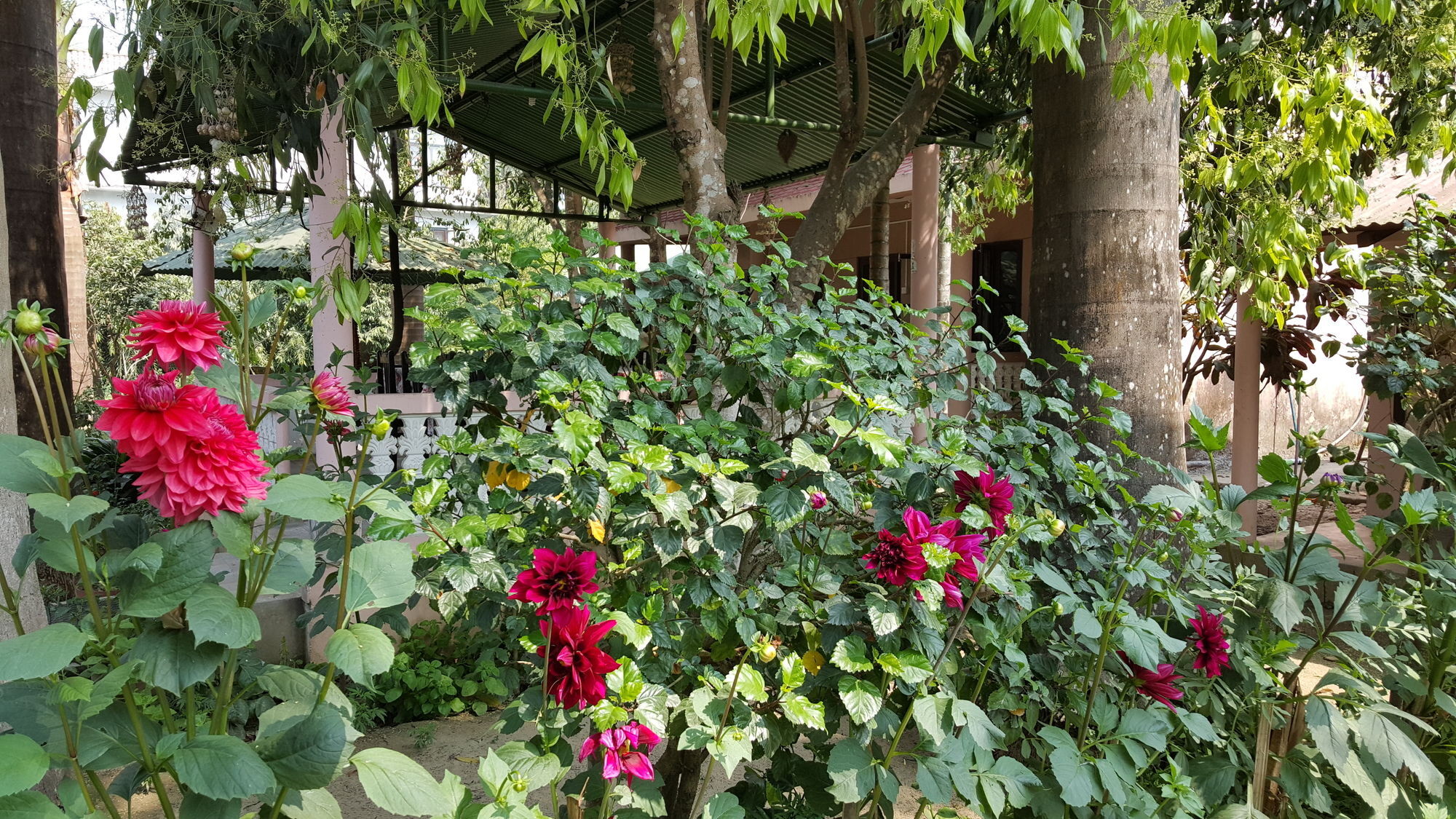 Готель Ama Garden Саураха Екстер'єр фото
